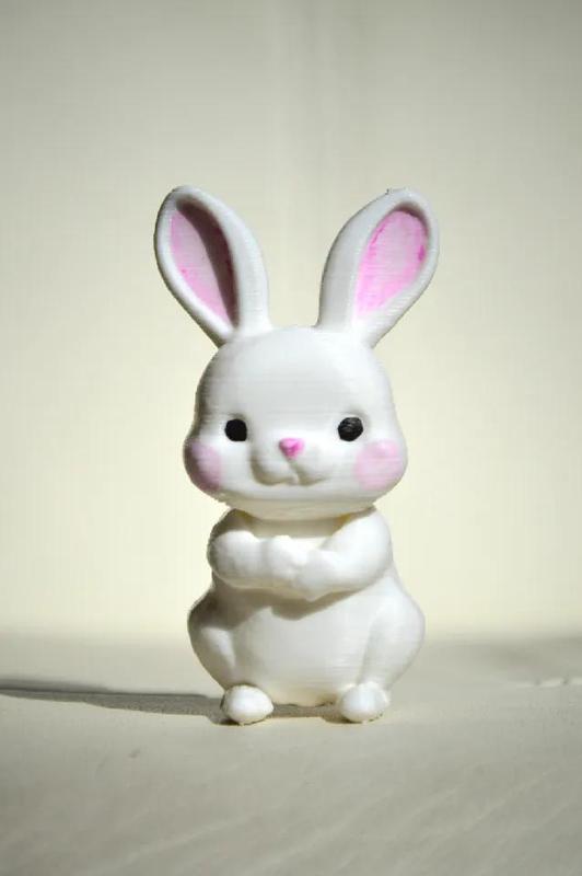 cute little bunny   