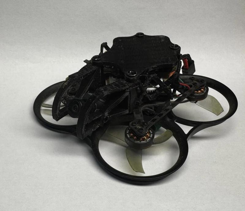 Custom Pavo Femto Canopy   