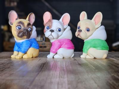 A French Bulldog with an innocent expression.