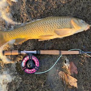 Fishing Rod Forward Grip   