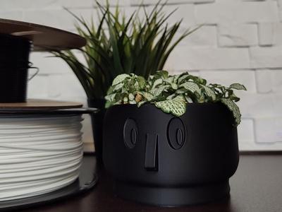Nose Flowe Pot