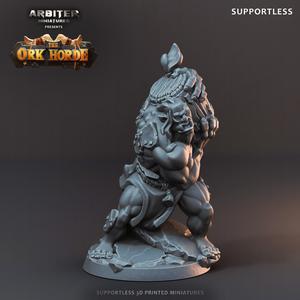 Supportless Ork Bomber 02