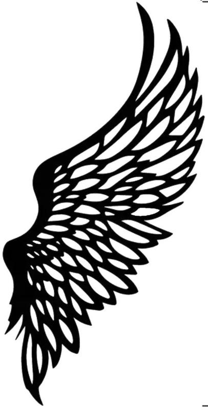 Angel Wings   