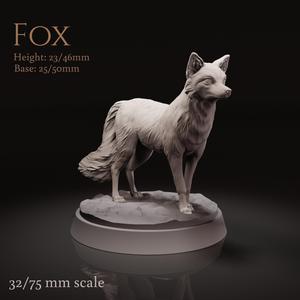 Fox