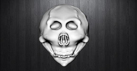 Human skull