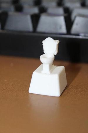 Toilet Keycap   
