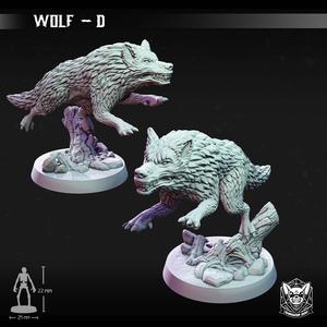 Wolf - D