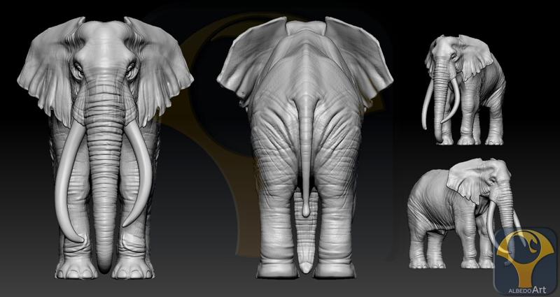 Elephant African