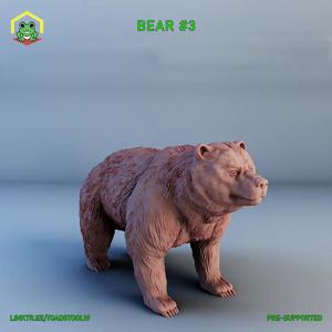 Bear #3   