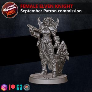 Loyalty Reward 03 Months - Female Elven Knight