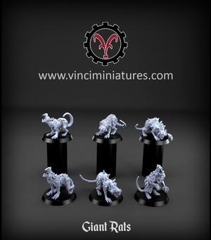 GIANT RATS