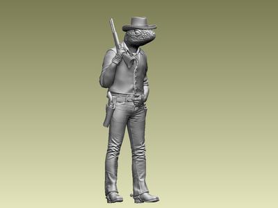 lizard cowboy