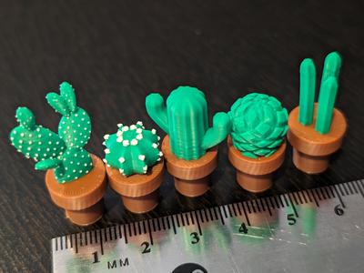 Cactus Magnets Miniatures