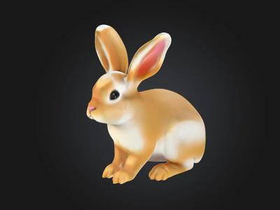 Rabbit   