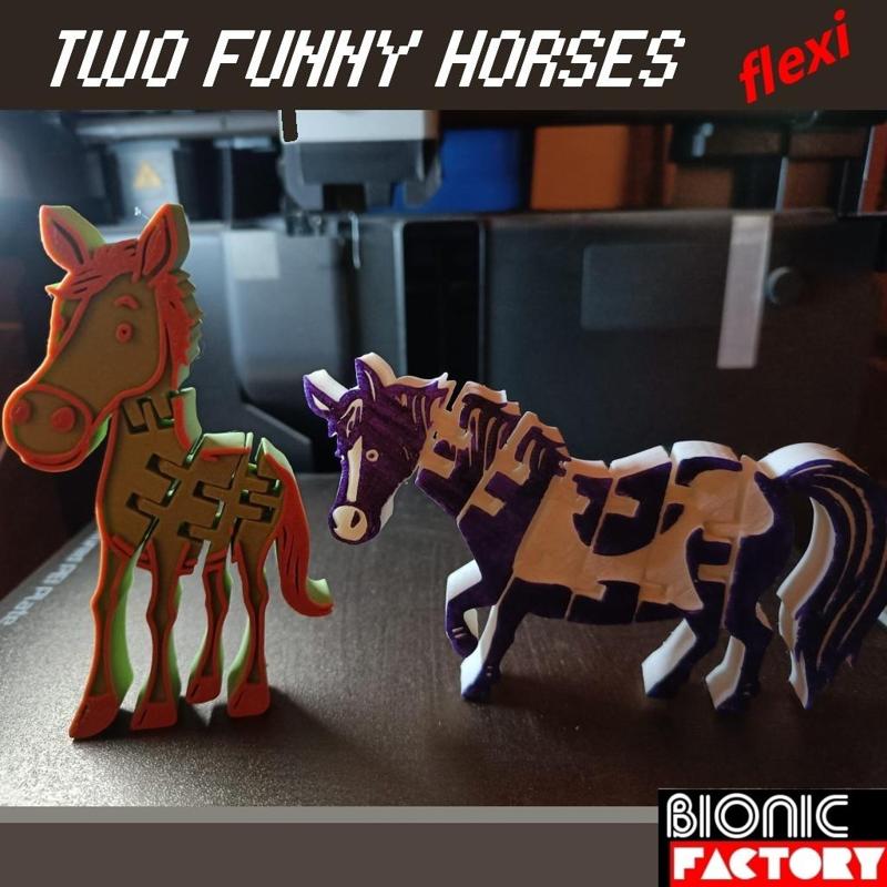 TWO FUNNY HORSES