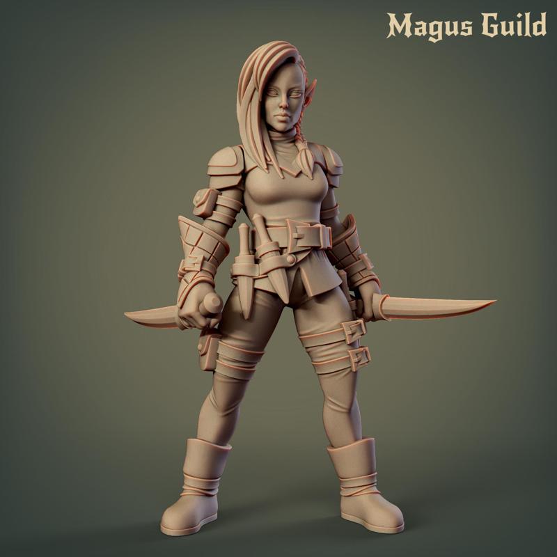 Female Elf Rogue - MG3.2