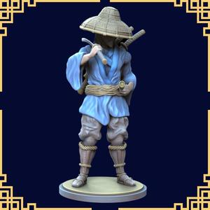 Ronin Warrior