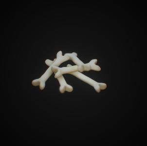 Bone