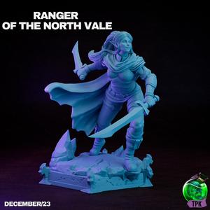 Ranger of the North Vale