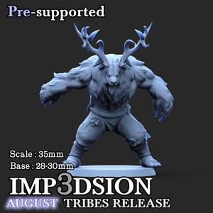 Male druid 03 Transformed