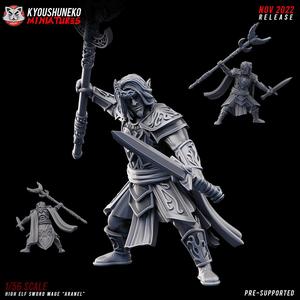 High Elf Sword Mage Aranel