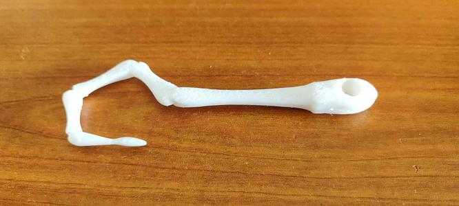 Bone Hook Keychain