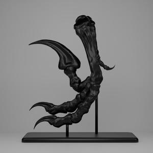 Realistic Dinosaur Fossil Replica - Velociraptor Foot with Stand