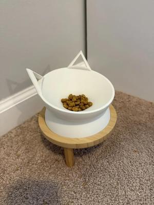Raised Cat Feeder Bowl   