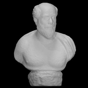 Portrait bust of a bearded man