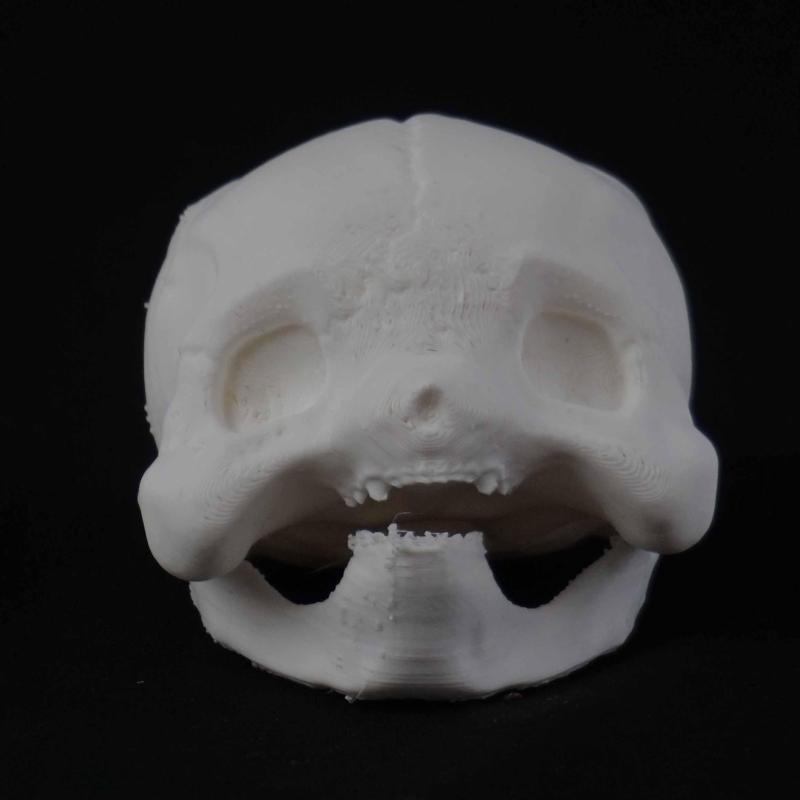 Pikachu Pokéskull - Pokemon