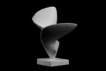 Bird at Lausanne, Switzerland