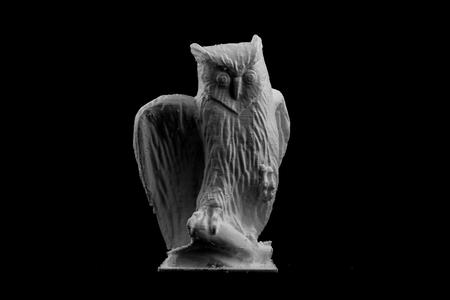 Owl in Lausanne, Switzerland