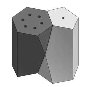 Scutoid Salt & Pepper Shakers
