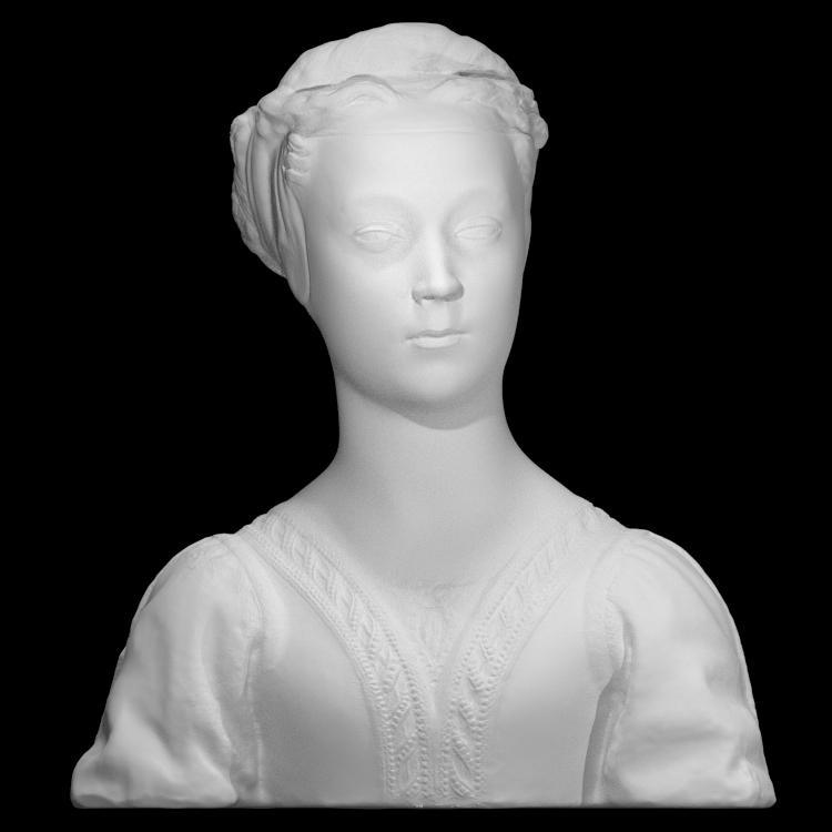 Bust of a Young Woman