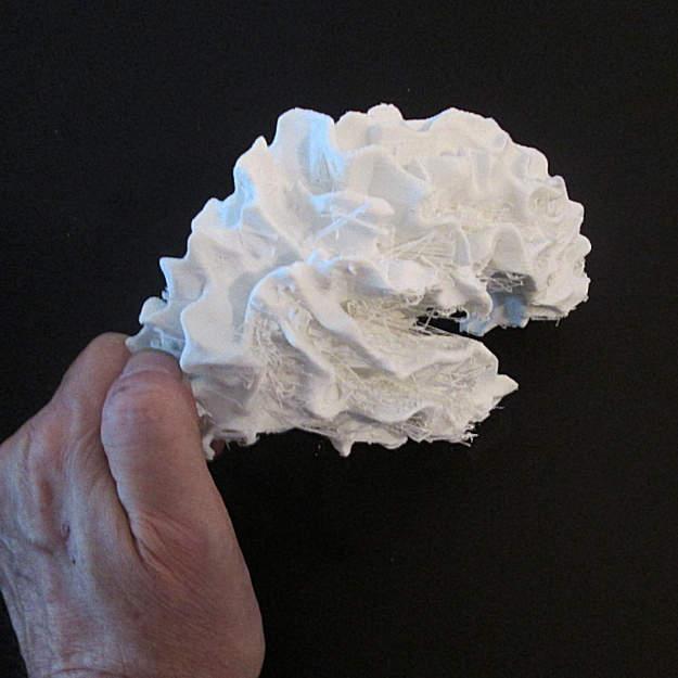 Brain Hemisphere, White Matter of the Right Full-Scale