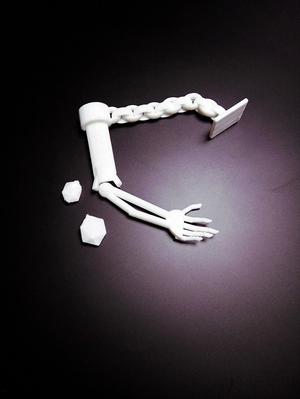 Bone in Broken-Off Shackles