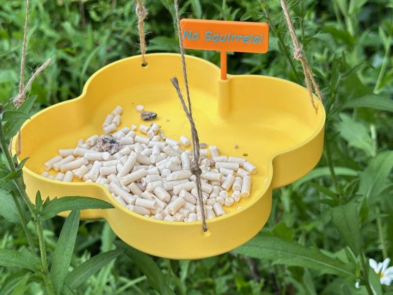 Bird Feeder Dish