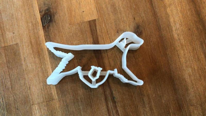 Cookiecutter Flatcoated retriever