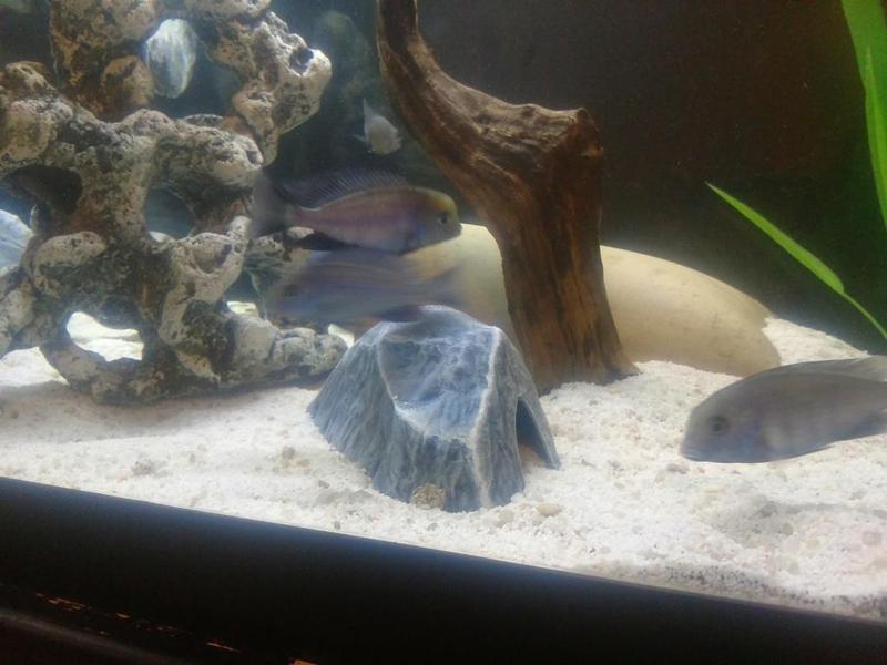 Aquarium Decoration - Textured Rock Cave - Medium