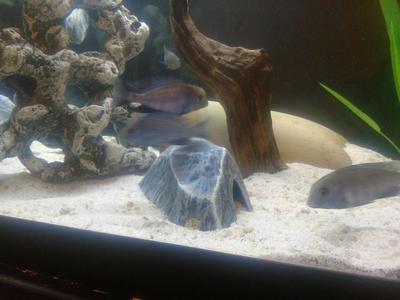 Aquarium Decoration - Textured Rock Cave - Medium