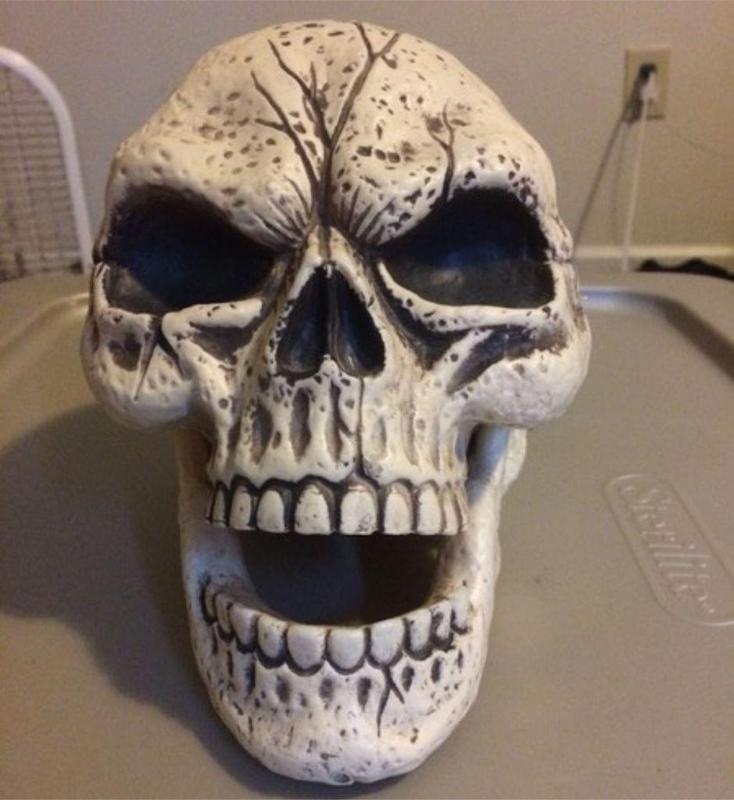 Skull Sculpture 3D Scan (Including Hollow Version)