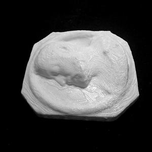 Miquel Mai at The National Art Museum of Catalonia, Spain