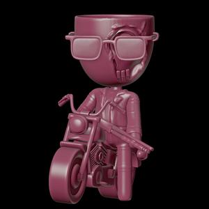 Robert Plant Terminator T800