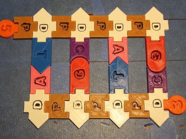 DNA / RNA manipulative Set