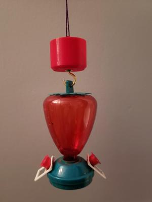 Hummingbird feeder ant moat
