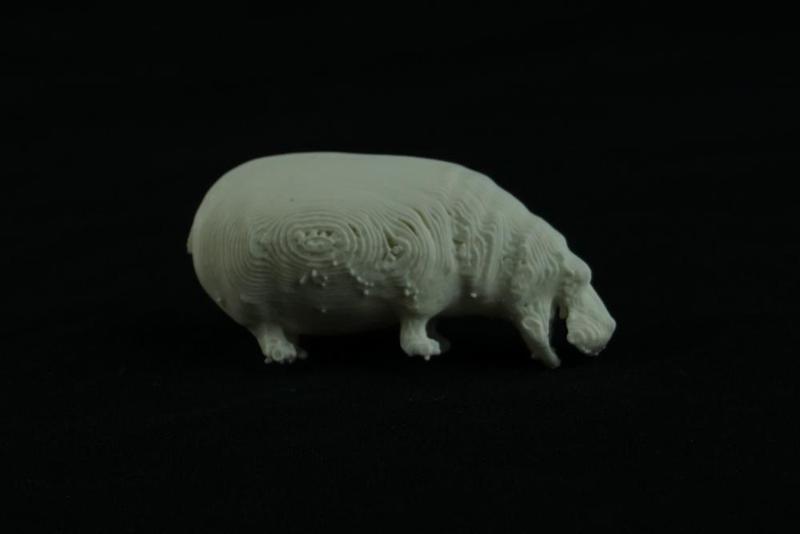 Hippo 3D Model