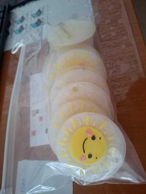 Identification medal for students (Sun)