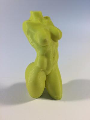 Female Torso in Motion