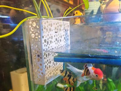 Aquarium Sidewall Planter Basket