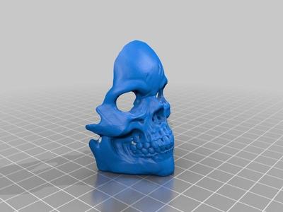 Supportless Skull Mask - Remix
